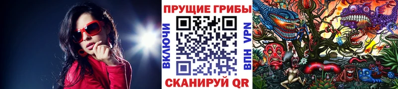 Галлюциногенные грибы мицелий  mega ССЫЛКА  shop телеграм  продажа наркотиков  Печора 